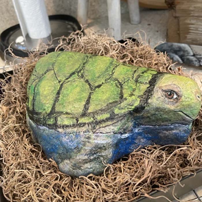 Rock Painting of a turtle.
