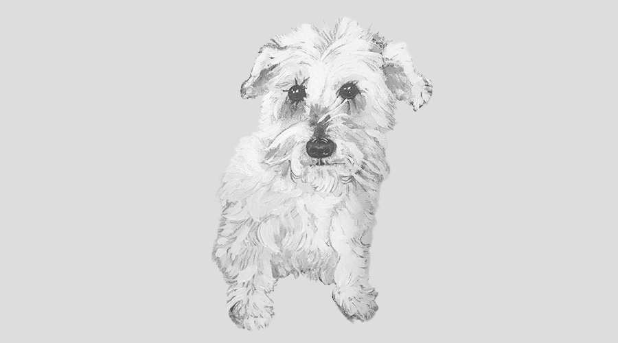 Black and White painting of Cali the dog.