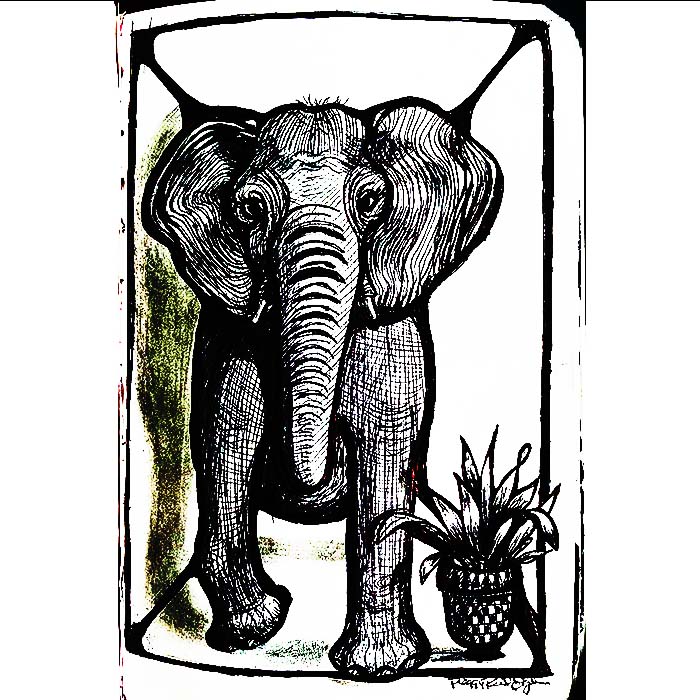 drawing of elephant.